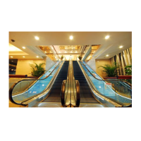 Chinese Manufacturer Customize Heavy Duty Home Cost Glass Escalator